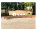 Land For Sale In PADUKKA